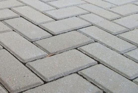 Paver Holandês